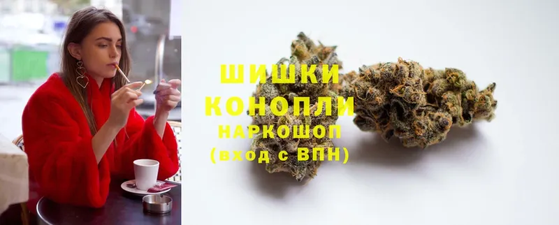 Бошки Шишки THC 21%  наркотики  Мыски 